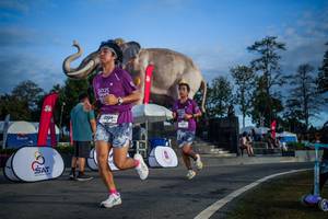 BIB: 
                            <button type="button" onclick="openModal(26541883)" class="btn btn-primary btn-sm float-right btn-popup" data-toggle="modal" data-target=".modal-high-quality">
                        <i class="fas fa-shopping-cart"></i> Add to Cart
                    </button>
                                            <button type="button" onclick="isThisMe(26541883, true)" class="btn btn-success btn-sm float-right btn-popup btn-isme hidden" data-toggle="tooltip" data-placement="bottom" title="นี่คือรูปของคุณใช่ไหม คลิกที่นี่เพื่อเอาเข้าอัลบั้ม">
                        <i class="fas fa-plus"></i> Add to album
                    </button>
                    <button type="button" onclick="isThisMe(26541883, false)" class="btn btn-warning btn-sm float-right btn-popup btn-isnotme hidden">
                        <i class="fas fa-ban"></i> Remove from album
                    </button>